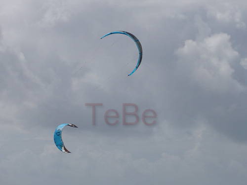 05_Skop_Sylt_062009