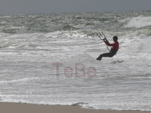 16_Skop_Sylt_062009