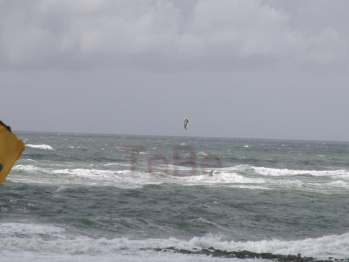 23_Skop_Sylt_062009