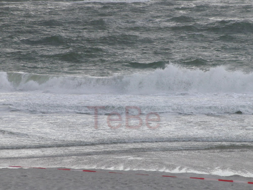 25_Skop_Sylt_062009