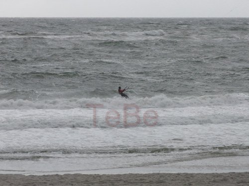 34_Skop_Sylt_062009