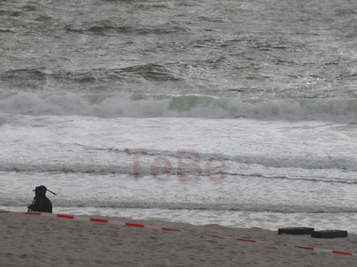 41_Skop_Sylt_062009