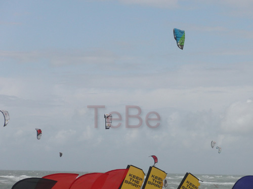 42_Skop_Sylt_062009