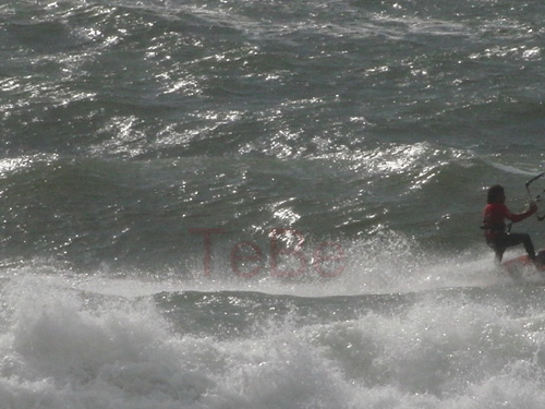 46_Skop_Sylt_062009