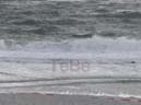25_Skop_Sylt_062009