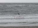 34_Skop_Sylt_062009
