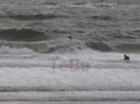 35_Skop_Sylt_062009