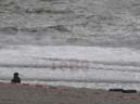 41_Skop_Sylt_062009