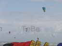 42_Skop_Sylt_062009