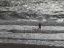 44_Skop_Sylt_062009