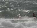 46_Skop_Sylt_062009