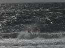 47_Skop_Sylt_062009