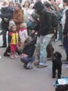 86_Skop_Sylt_062009