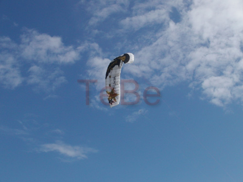01_Fehmarn_082009