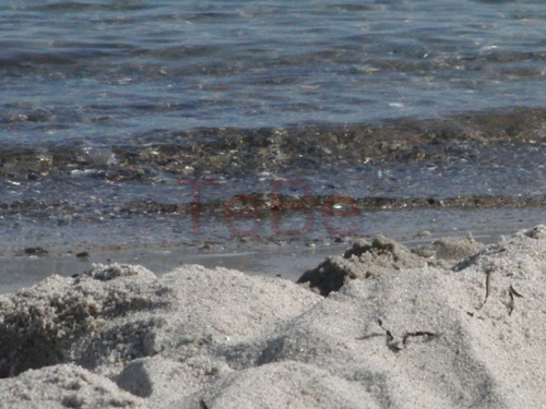 09_Fehmarn_082009