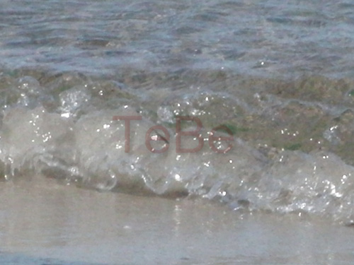 10_Fehmarn_082009