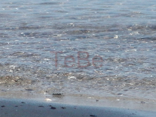11_Fehmarn_082009