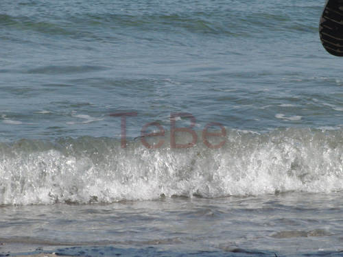16_Fehmarn_082009