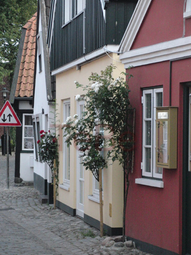 20_Fehmarn_082009