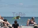 02_Fehmarn_082009