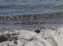 09_Fehmarn_082009