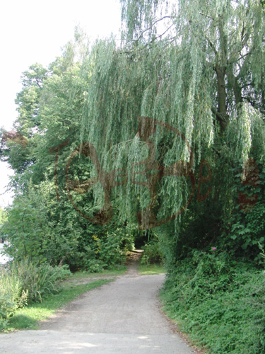17_HH_0809